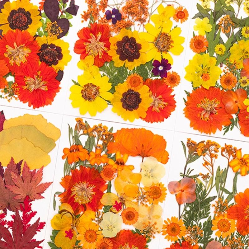 Reçine Kalıpları için Kurutulm - Art Craft Leaves incelemesi ve fiyatı