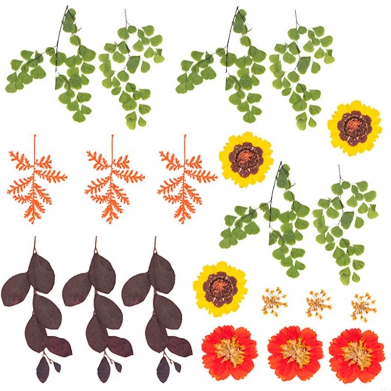 Reçine Kalıpları için Kurutulm - Art Craft Leaves incelemesi ve fiyatı