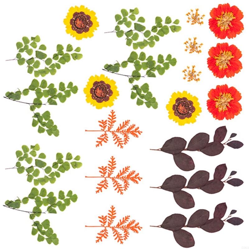 Reçine Kalıpları için Kurutulm - Art Craft Leaves incelemesi ve fiyatı