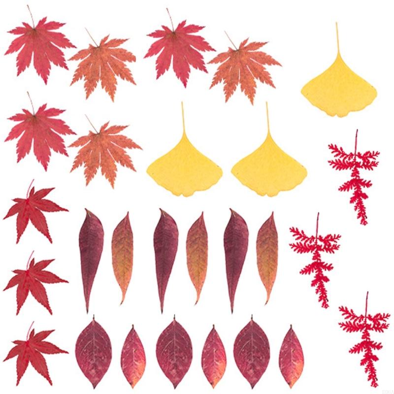 Reçine Kalıpları için Kurutulm - Art Craft Leaves incelemesi ve fiyatı